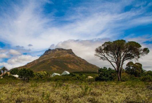 Aussicht Stellenbosch 