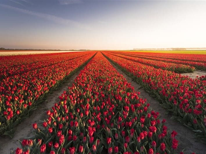 Geführte Holland Radreise