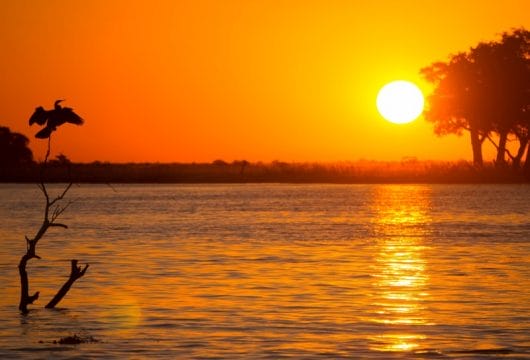 Sundowner im Chobe