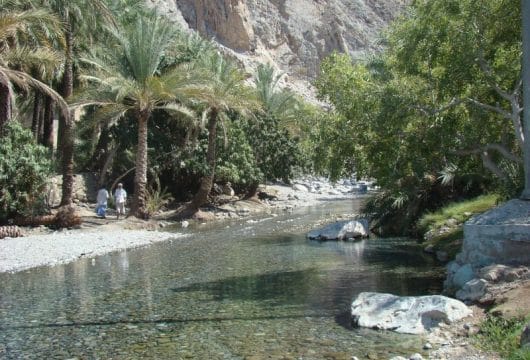 Wadi Arbiyeen, Hadschar