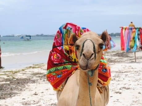 Badeverlängerung in Kenia