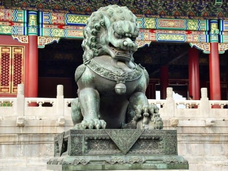 Drache in der Verbotenen Stadt