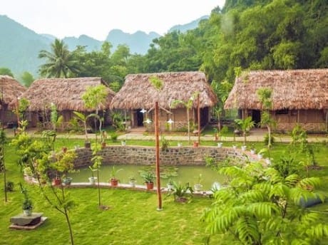Tam Coc Rice Field Anlage