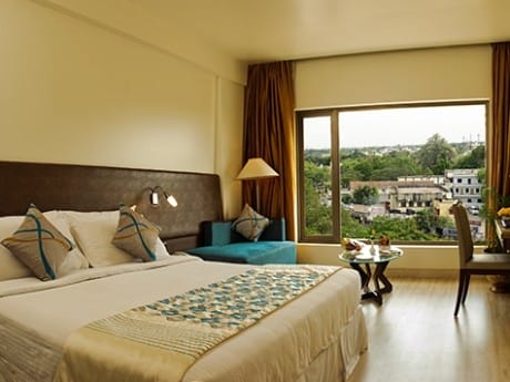 Fortune Pandiyan Hotel_standard room