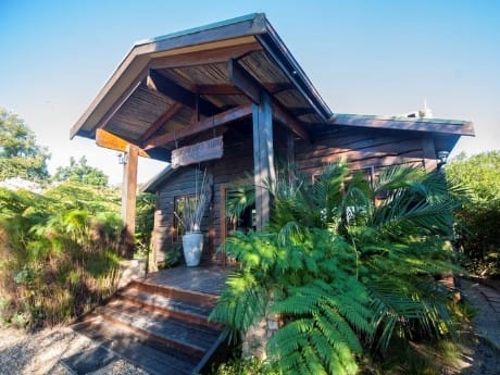 The Elephant Hide of Knysna