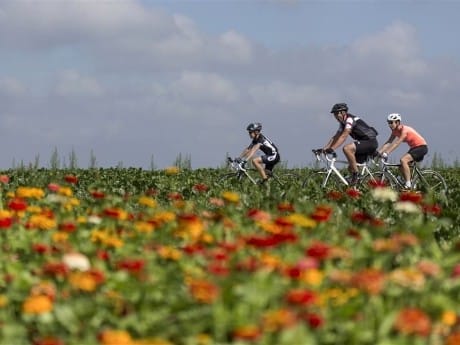 Hollandsee-Radfahrer