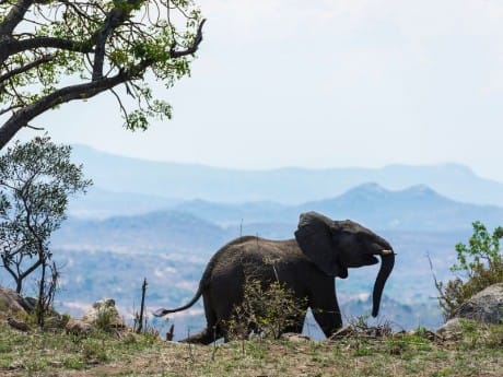 Lodges im Kruger Nationalpark