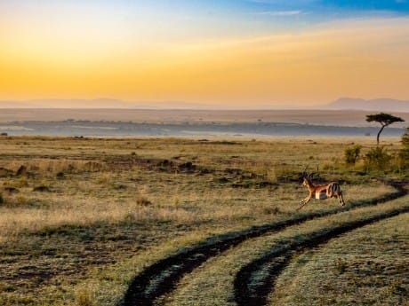 Malerische Landschaft, Kenia