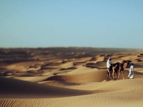 Unterwegs in Wahiba Sands, Oman