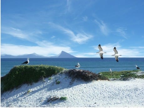 Traumstrände & Meer am Western Cape