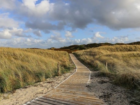 Dünen & Natur, Langeoog