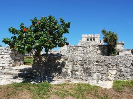 Maya-Ruinen Tulum