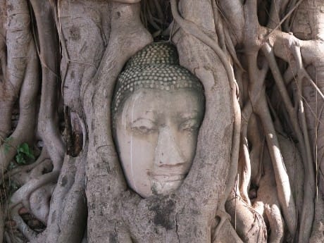 Wat Mahatat, Ayutthaya