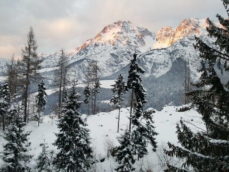 Forsthofalm Umgebung