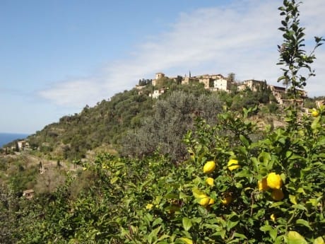 Mallorca Deia Berg