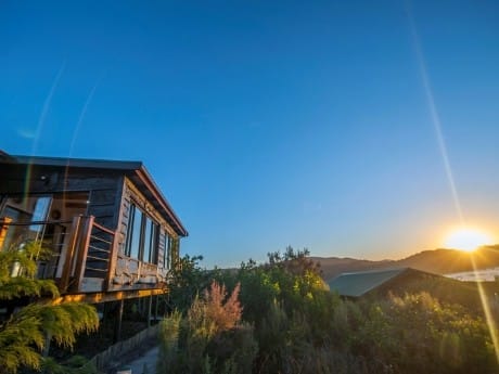 Aussicht, The Elephant Hide of Knysna