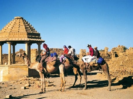 Kamelritt, Rajasthan