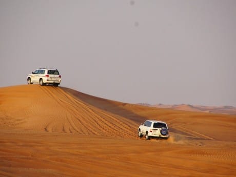 Jeepsafari in Jodhpur