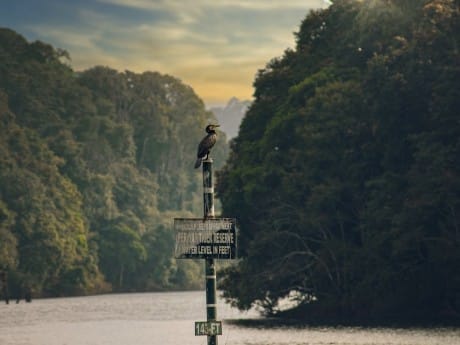 Periyar-Stausee mit Vogel