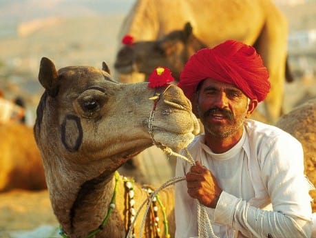 Kamelführer in West Rajasthan