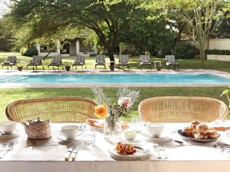 The Elephant House Pool