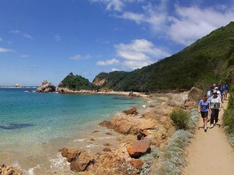 featherbed-nature-reserve (1)