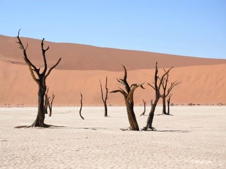 Sossusvlei