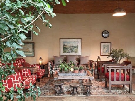 The Elephant House Lounge