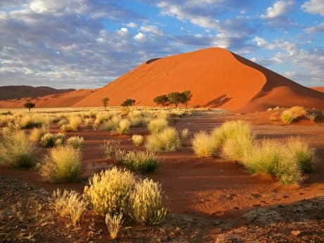 namibia-kalahari-landschaft