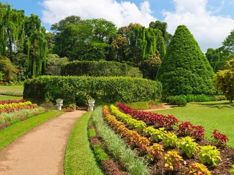 Botanischer Garten Kandy