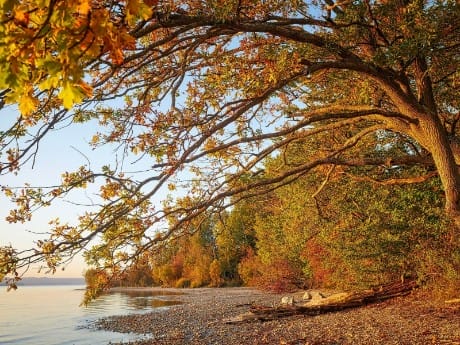 Herbst am Starnberger See
